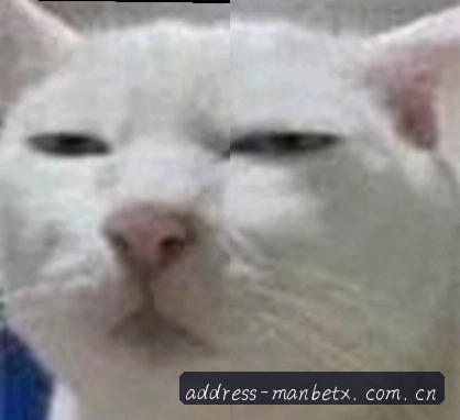 小宇